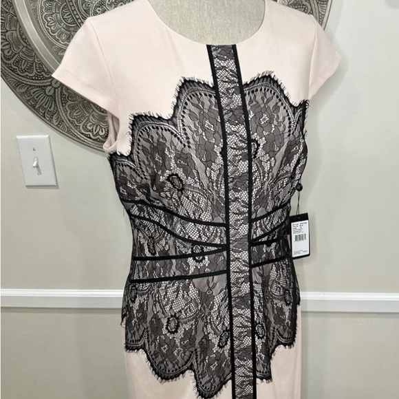 SOLD NWT Adrianna Papell Dress - Picture 10 of 14